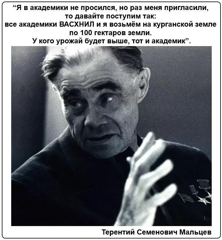 Агрокомплекс борьбы с многолетними сорняками