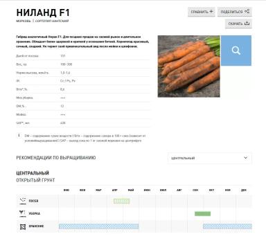 Ниланд F1 (NILAND)