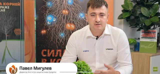 Сроки сева, норма высева и глубина заделки семян