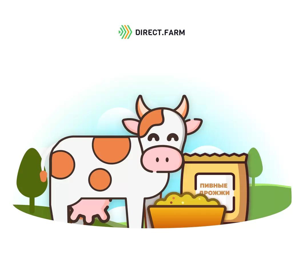 Пивные дрожжи в кормлении коров