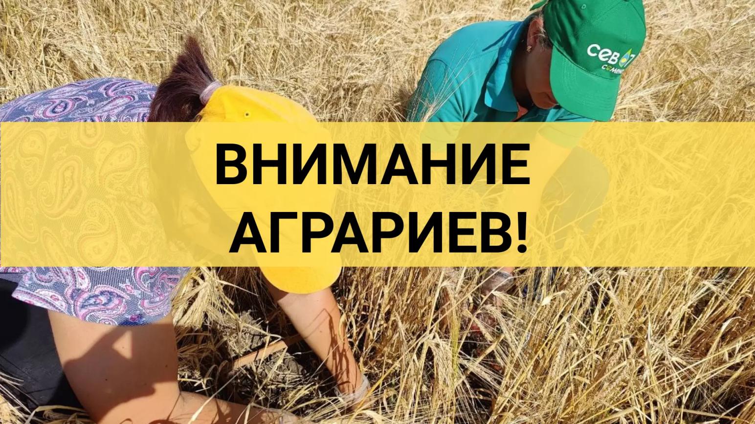Федеральный мониторинг и ФГИСЫ - 2024.  Просто о сложном на семинаре ЗСС ПФО