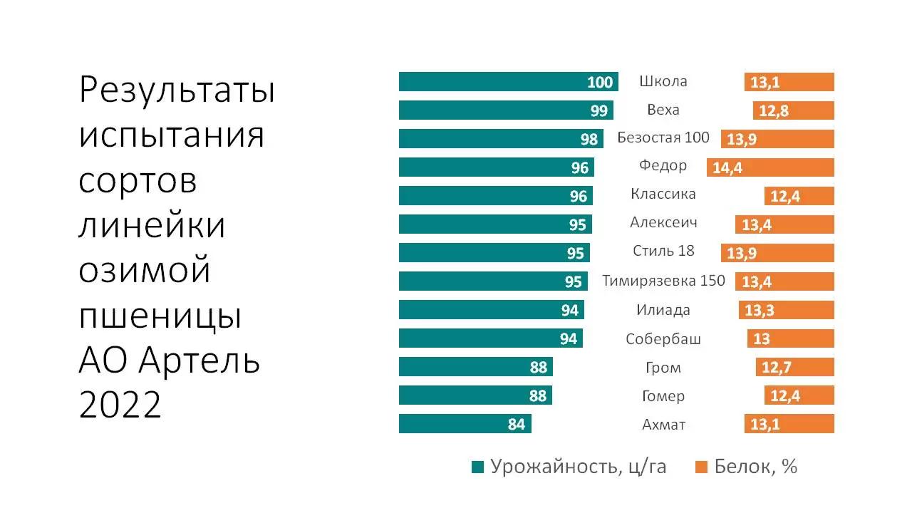 Линейка сортов озимой пшеницы Артель 2022