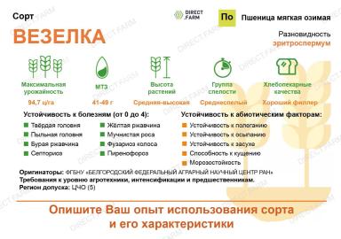 Везелка