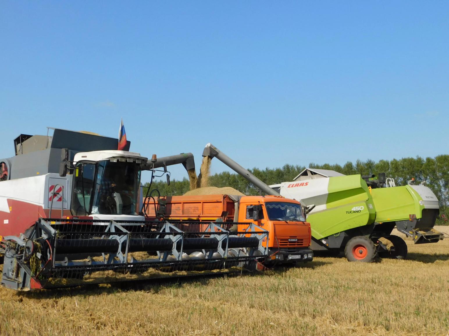 Новости с полей. Уборочная 2020.