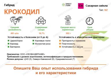 Крокодил гибрид сахарной свеклы