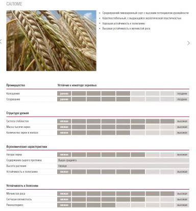 Саломе (SALOME)