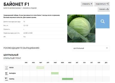 Байонет F1 (BAJONET)