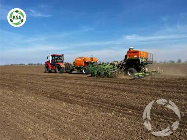 Посевная кампания ярового гороха!