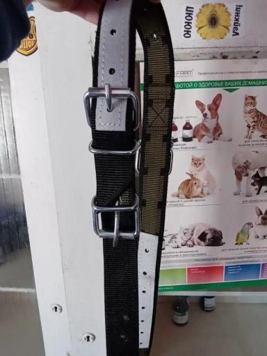 Путы при растяжениях связок у коров