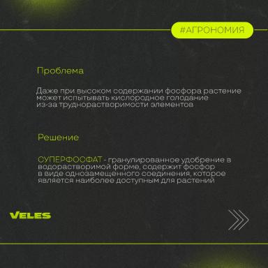 ФОРМЫ ФОСФОРА, ЕГО ВЗАИМОДЕЙСТВИЯ С ПОЧВОЙ. ФОСФОРНЫЕ УДОБРЕНИЯ.