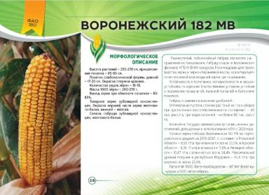 Воронежский 182 МВ
