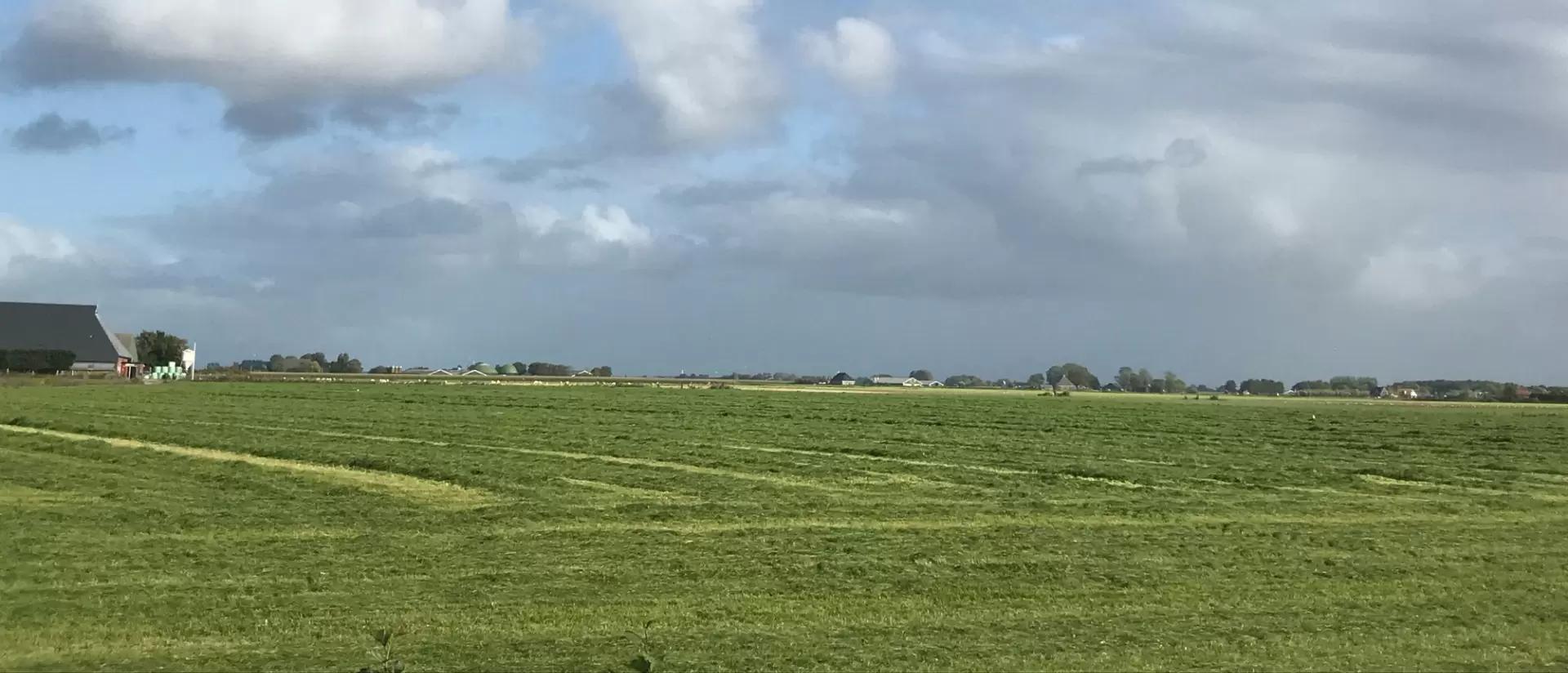 Заготовка сенажа в Голландии