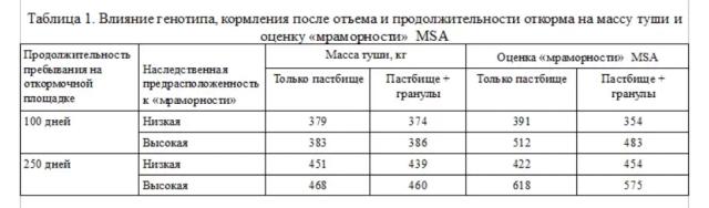 Стратегии достижения высокой «мраморности» говядины