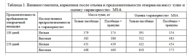 Стратегии достижения высокой «мраморности» говядины