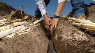 Подземное капельное орошение