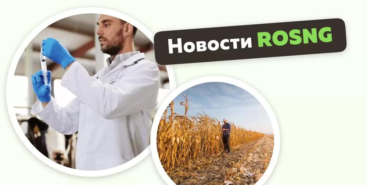 Обзор новостей за 22 января