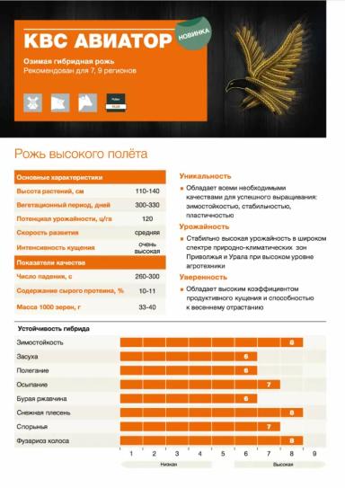 КВС Авиатор