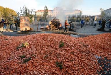 Гнев фермеров: как забастовки распространяются по всей Европе