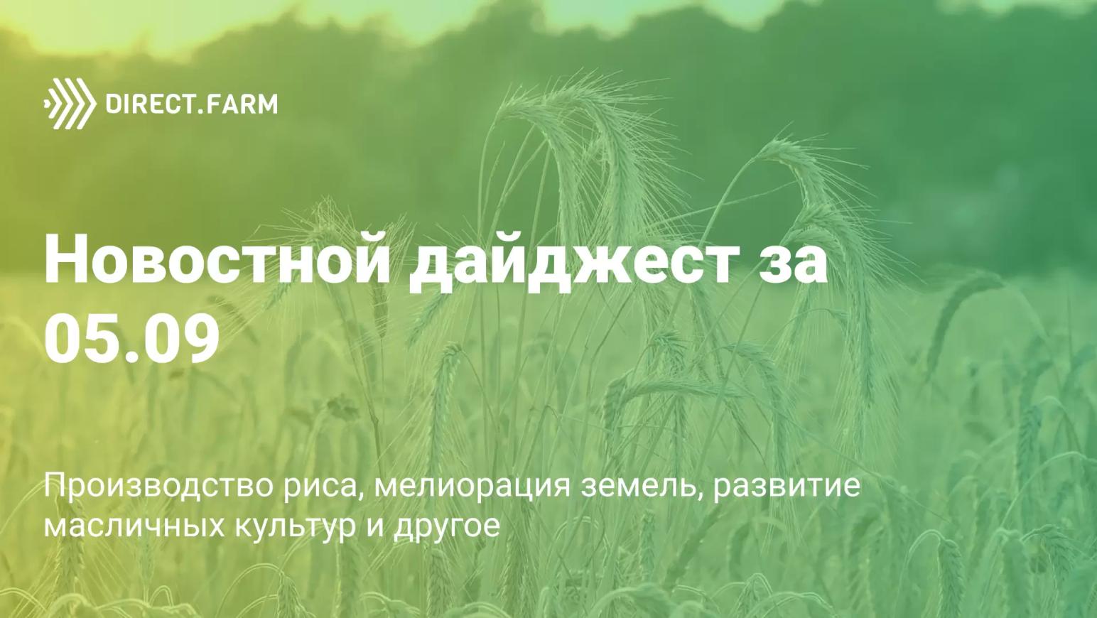 Новостной дайджест за 05.09