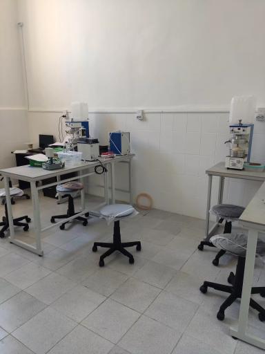 Образовательный туризм