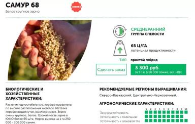 Самур 68 гибрид сорго зернового