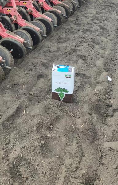 Сахарный сезон начался!