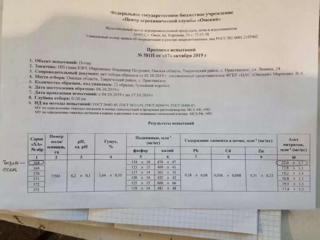 Черный пар против позднего