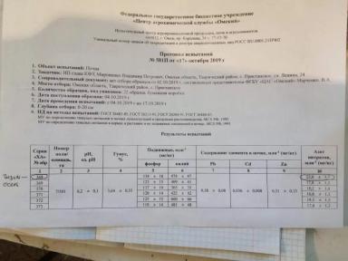 Черный пар против позднего