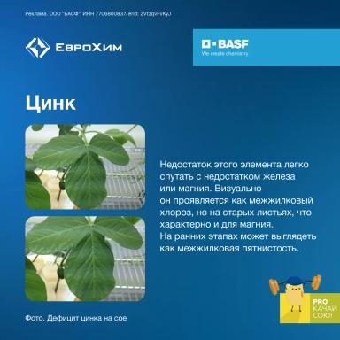 PROкачай сою! Признаки дефицита элементов питания при возделывании сои