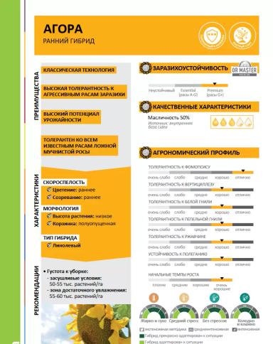 ЕС Агора (ES AGORA)