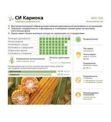 СИ Кариока - гибрид кукурузы ( Zea mays L.).