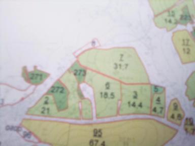 инокуляция козлятника