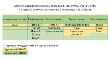 Новинки Уральской селекции яровой пшеницы