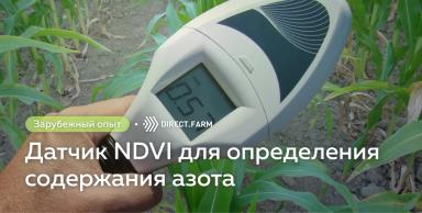 Использование датчика NDVI для оценки содержания азота в покровных культурах