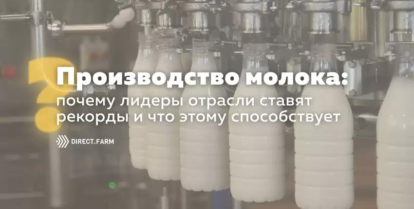 Производство молока: как лидеры отрасли ставят рекорды и что этому способствует