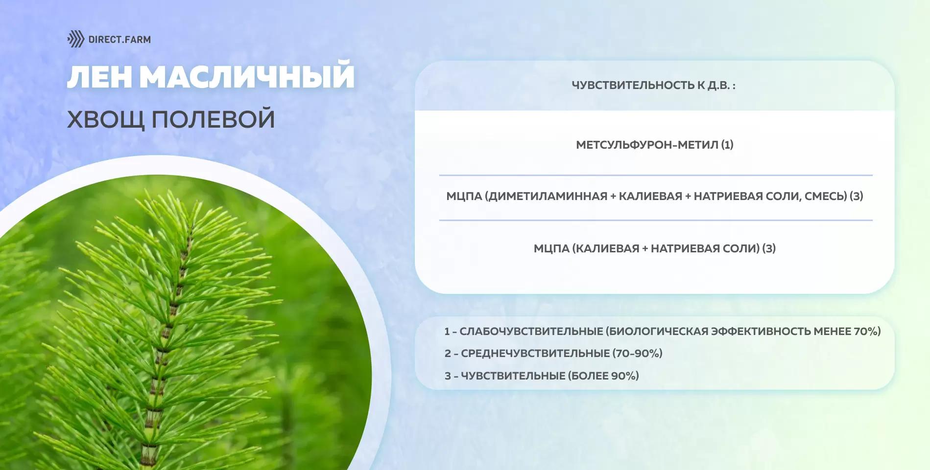 Шпаргалка чувствительности хвоща полевого к д.в. гербицидов