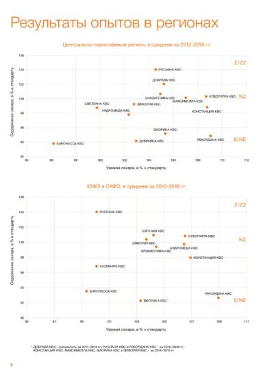 Рекордина  КВС (RECORDINA KWS) гибрид сахарной свеклы