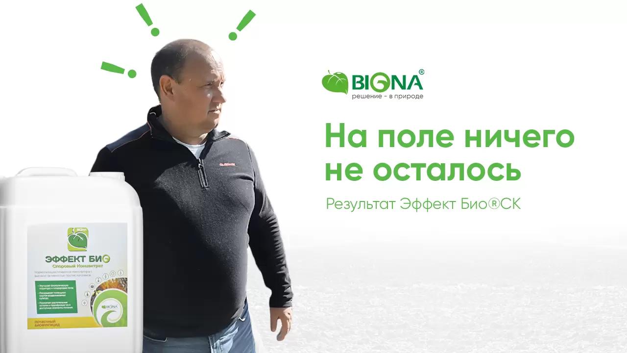 На поле ничего не осталось 👀