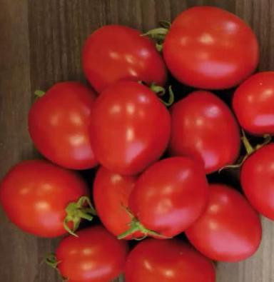 Гюзель F1 (GUZEL)