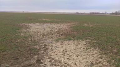 Что с почвой?