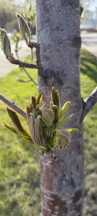 Май! 🌷🌿