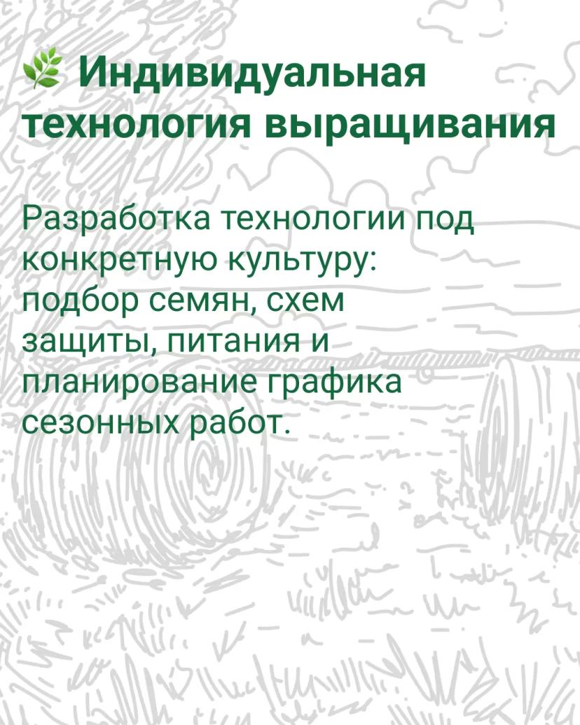 🌾 Где получить оперативную консультацию по агросопровождению?   Мы