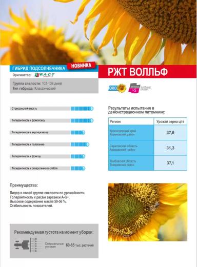 РЖТ Волльф (RGT WOLLF) гибрид подсолнечника