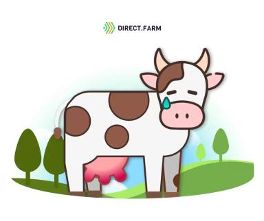 Неинфекционные заболевания вымени коров