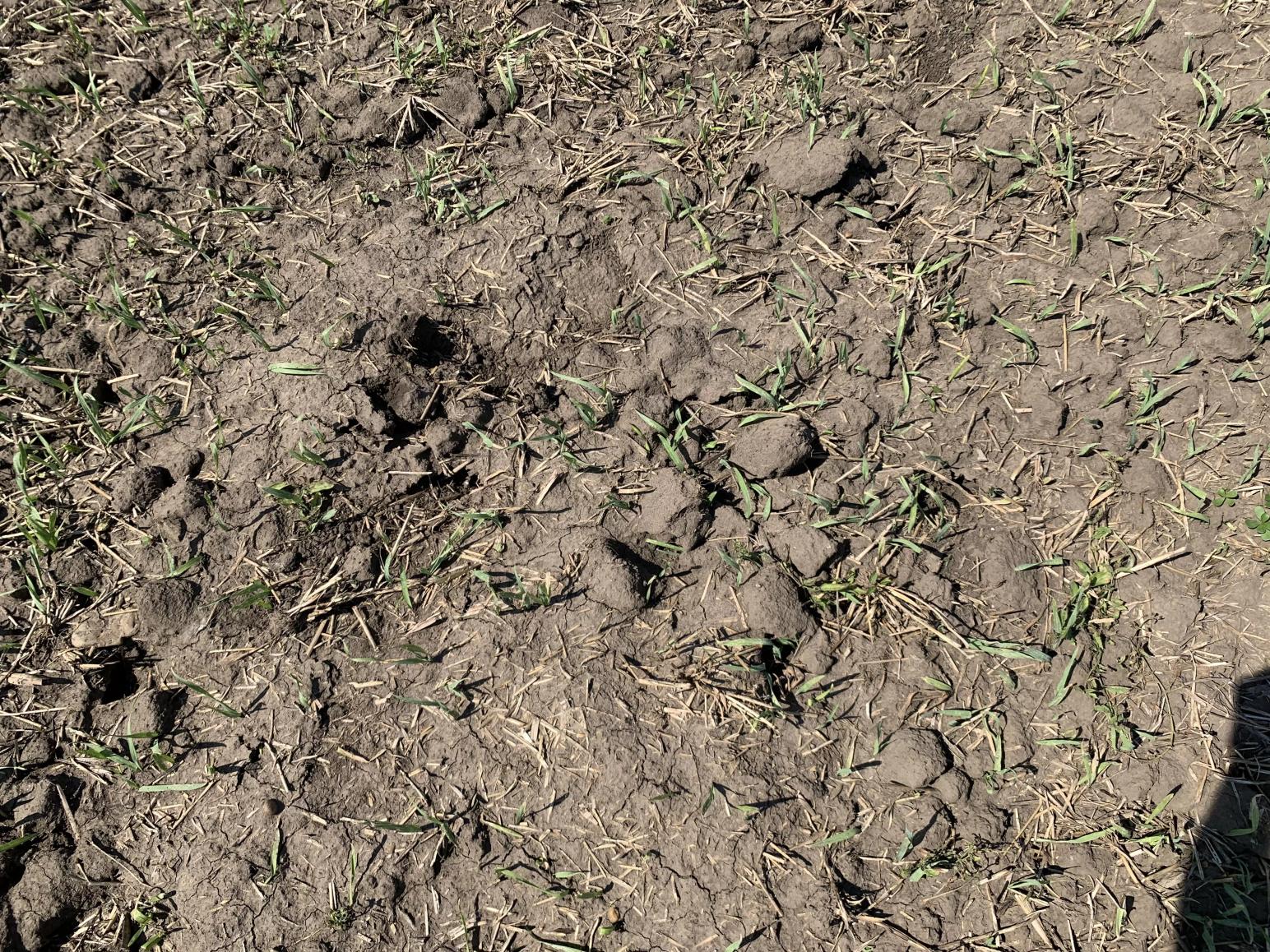 Новости с полей