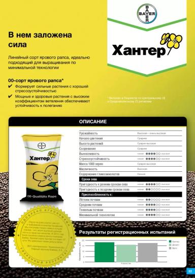 Хантер ®  (HUNTER) сорт рапса ярового