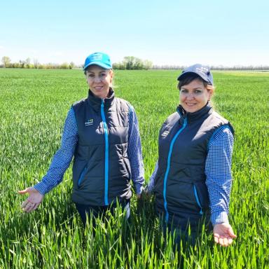 Вести с полей. Ставропольский край