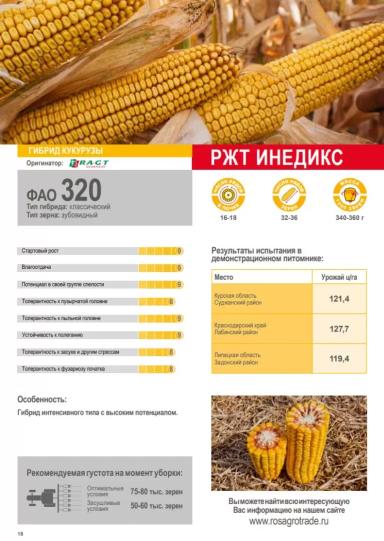 РЖТ Инедикс