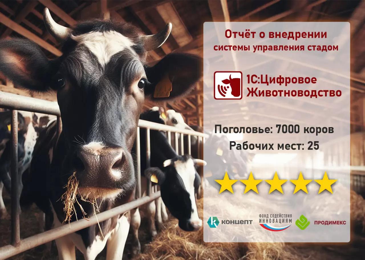 Отчет о внедрении "1С:Цифровое Животноводство" для ООО "Продимекс Агро"