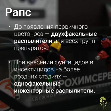 🎯 Точно в цель: подбираем распылитель под разные культуры